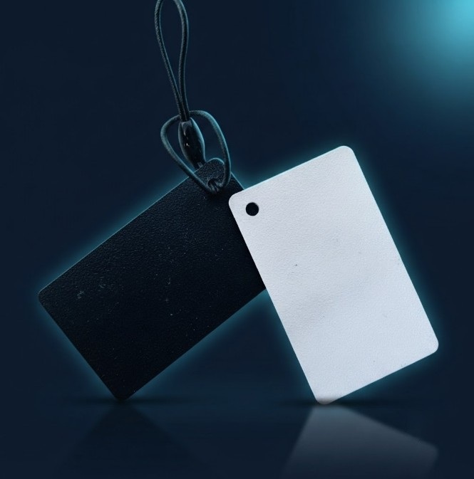 Llavero NFC mini Tarjeta